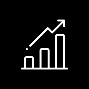 seo optimizacija